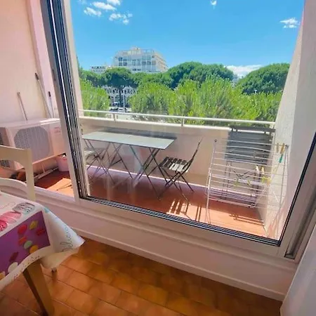 T2 Centre Parking Prive Clim 300m Apartmán